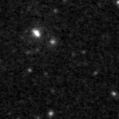 2021ylp_image