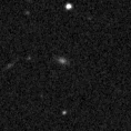 2021ynj_image