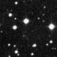 2021ypf_image