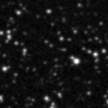 2021ypi_image