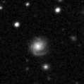 2021ypl_image