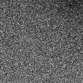 2021ypn_image