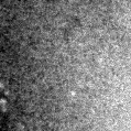 2021ypo_image