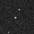 2021ypw_image