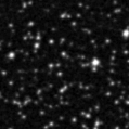 2021yrj_image