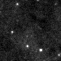 2021yut_image