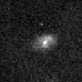 2021ywg_image