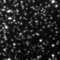 2021zbi_image