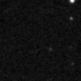 2021zd_image