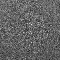 2021zdh_image