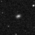 2021zhj_image