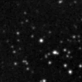 2021zlf_image