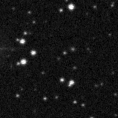 2021zlg_image