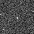 2021znb_image