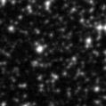 2021zqj_image
