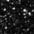 2021ztn_image