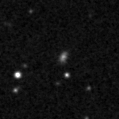 2021zwj_image