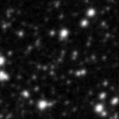 2021zxu_image