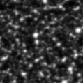 2021zxw_image