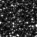 2021zxx_image