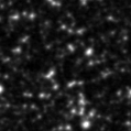 2021zyw_image