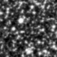 2021zzs_image