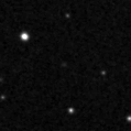 2021zzw_image