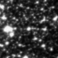 2022aaay_image
