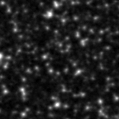 2022aaba_image