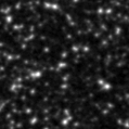 2022aabm_image