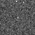 2022aadr_image