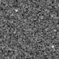 2022aahr_image