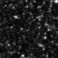 2022aalp_image