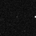 2022aamf_image