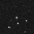 2022aamo_image