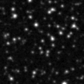 2022aaoi_image