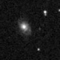 2022aapf_image