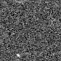 2022aawn_image