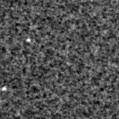 2022aawr_image