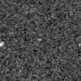 2022abbr_image