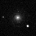 2022abcl_image