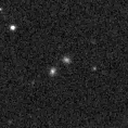 2022abfs_image