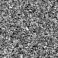 2022abmj_image