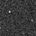 2022abml_image