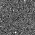 2022abyy_image