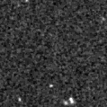 2022accz_image
