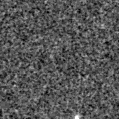 2022acfg_image