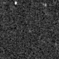 2022acjo_image