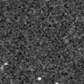 2022aclb_image