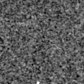 2022acma_image